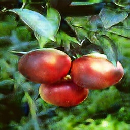 real_orange2apple_3