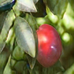 real_orange2apple_4